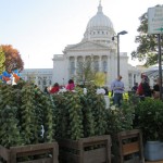 Dane County Farmer's Market Tops in America