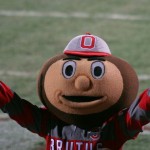 BRUTUS BUCKEYE