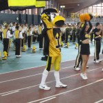 HAWKEYES & HERKY THE HAWK