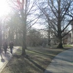 SENIOR TREE DEDICATION