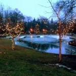 LIGHT THE LAKE