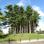 MSU Campus & Architecture