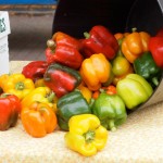 Historic Farmers Market Offers Taste of Tippecanoe County