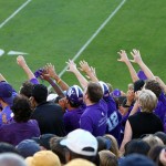 The Wildside of Tradition