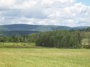 BaldEagleStatePark