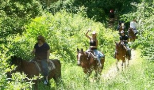 HellCreekRanchAnnArbor