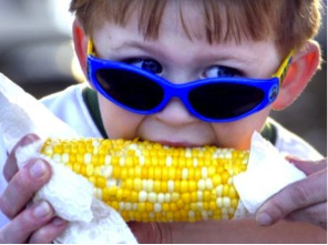 IllinoisCornFest