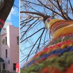 Sweaters Adorn Bloomington Trees