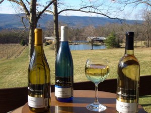 MountNittanyWineryPSU