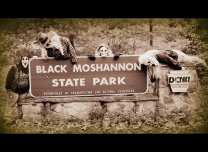 BlackMoshannnonStatePark_PSU