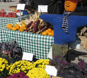 EvanstonFallFest